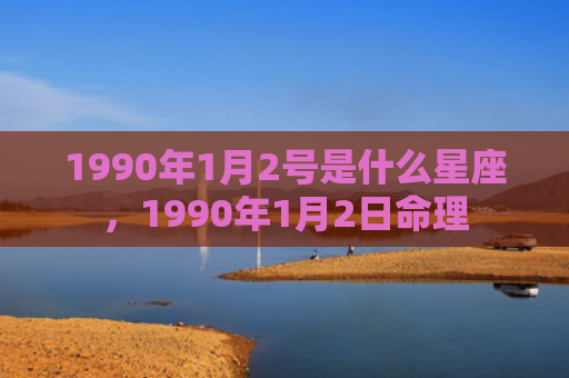 1990年1月2号是什么星座，1990年1月2日命理