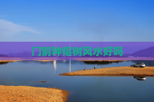 门前种榕树风水好吗