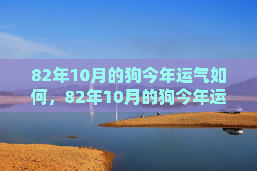 82年10月的狗今年运气如何，82年10月的狗今年运气如何