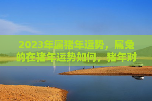 2023年属猪年运势，属兔的在猪年运势如何，猪年对属兔的人的影响