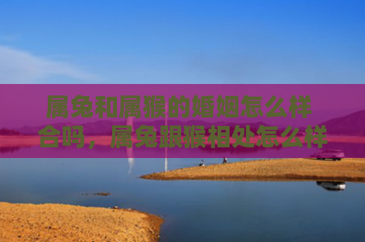 属兔和属猴的婚姻怎么样 合吗，属兔跟猴相处怎么样呢婚姻，属兔人和属猴人的婚姻怎样