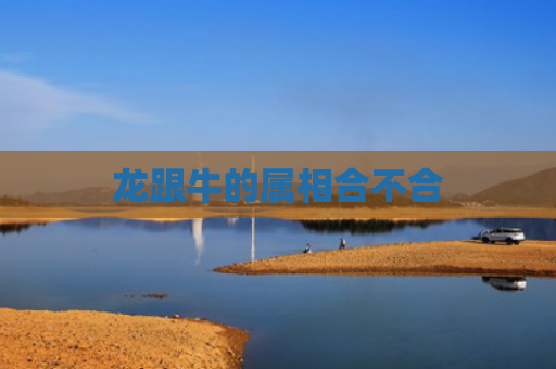 龙跟牛的属相合不合
