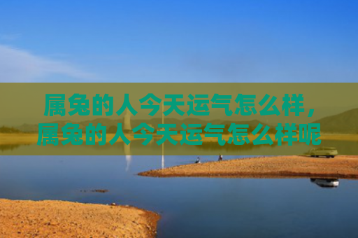 属兔的人今天运气怎么样，属兔的人今天运气怎么样呢，今天属兔的人的运气状况