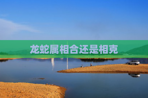 龙蛇属相合还是相克