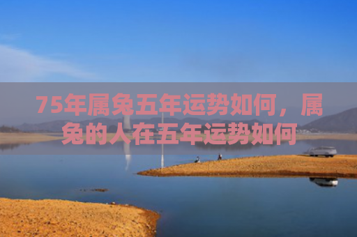 75年属兔五年运势如何，属兔的人在五年运势如何