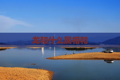 龙和什么属相和
