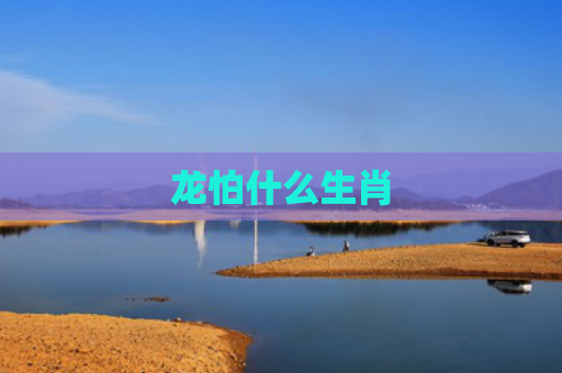 龙怕什么生肖