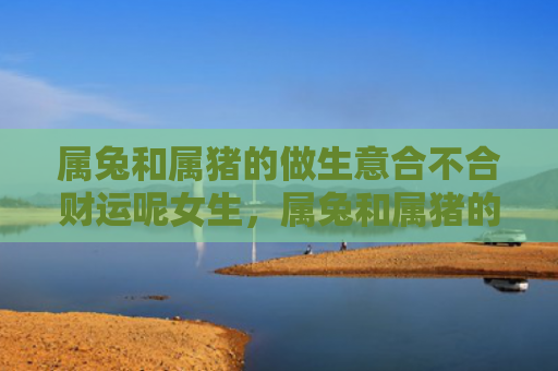 属兔和属猪的做生意合不合财运呢女生，属兔和属猪的做生意怎么样，合作抱团做生意