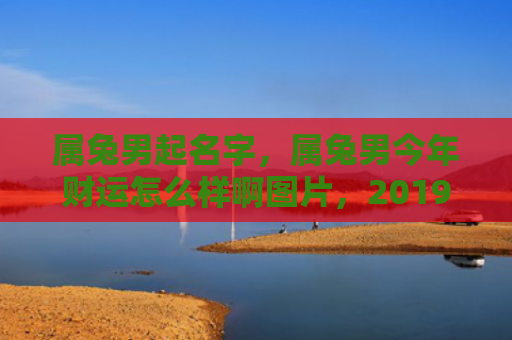 属兔男起名字，属兔男今年财运怎么样啊图片，2019年属兔男财运运势详解