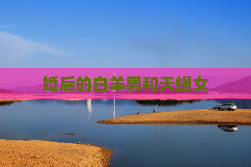 婚后的白羊男和天蝎女