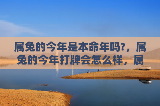 属兔的今年是本命年吗?，属兔的今年打牌会怎么样，属兔的今年打牌表现有何提高