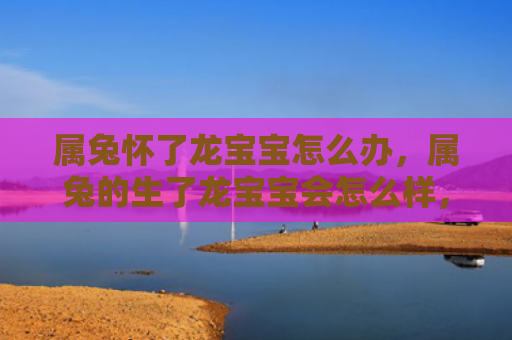属兔怀了龙宝宝怎么办，属兔的生了龙宝宝会怎么样，属兔生出龙宝宝的可能性有多大