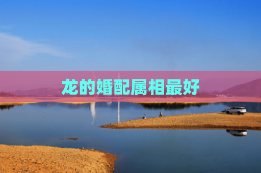 龙的婚配属相最好