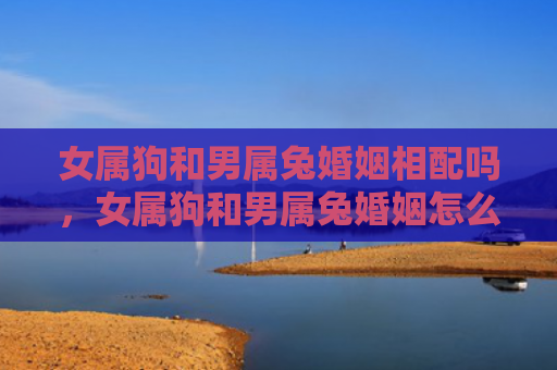 女属狗和男属兔婚姻相配吗，女属狗和男属兔婚姻怎么样，女属狗和男属兔的婚姻是否难以维持