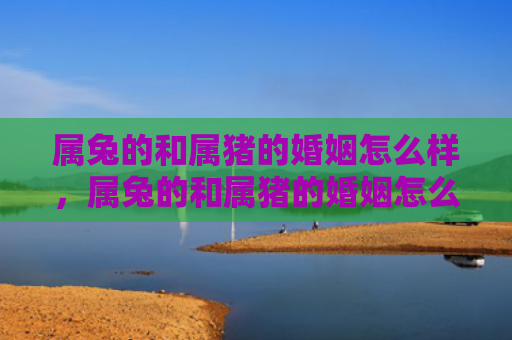属兔的和属猪的婚姻怎么样，属兔的和属猪的婚姻怎么样，属兔和属猪的婚姻稳定吗