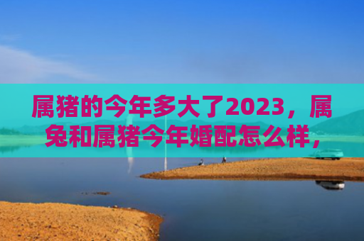 属猪的今年多大了2023，属兔和属猪今年婚配怎么样，属兔和属猪的配对情况分析