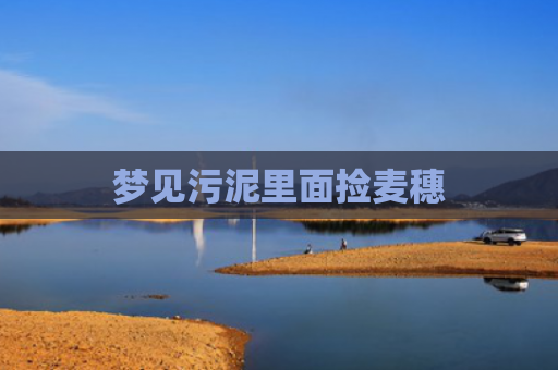 梦见污泥里面捡麦穗