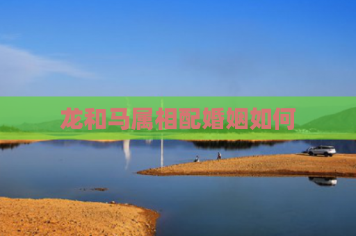 龙和马属相配婚姻如何