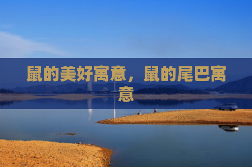 鼠的美好寓意，鼠的尾巴寓意