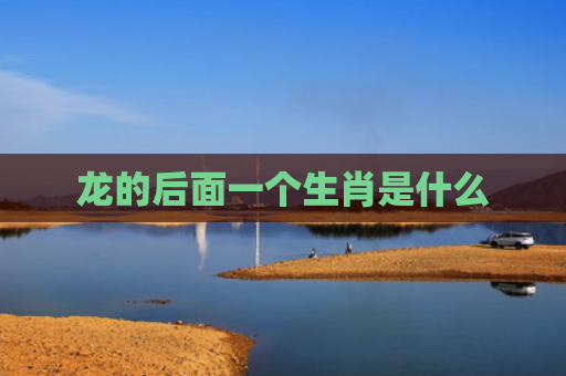 龙的后面一个生肖是什么