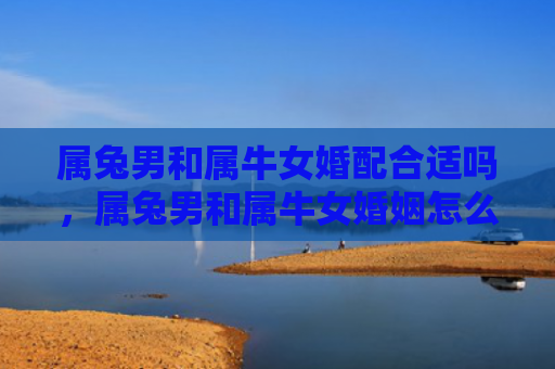 属兔男和属牛女婚配合适吗，属兔男和属牛女婚姻怎么样呢，探究属兔男和属牛女的婚姻情况
