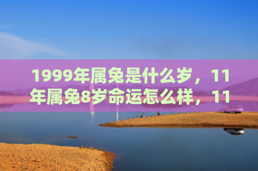 1999年属兔是什么岁，11年属兔8岁命运怎么样，11年属兔8岁的运势和性格特点