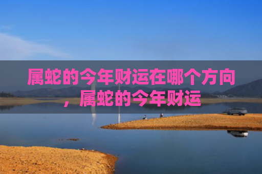 属蛇的今年财运在哪个方向，属蛇的今年财运