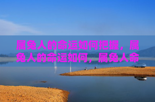 属兔人的命运如何把握，属兔人的命运如何，属兔人命运的特点