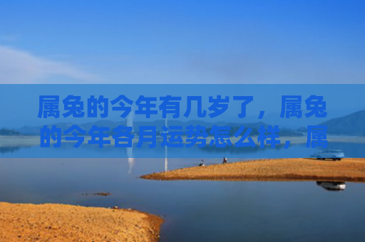 属兔的今年有几岁了，属兔的今年各月运势怎么样，属兔的今年各月运势如何