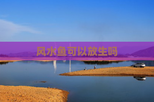 风水鱼可以放生吗