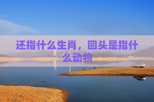 还指什么生肖，回头是指什么动物