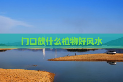 门口放什么植物好风水