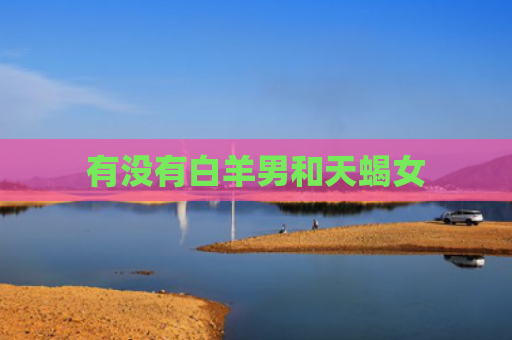 有没有白羊男和天蝎女