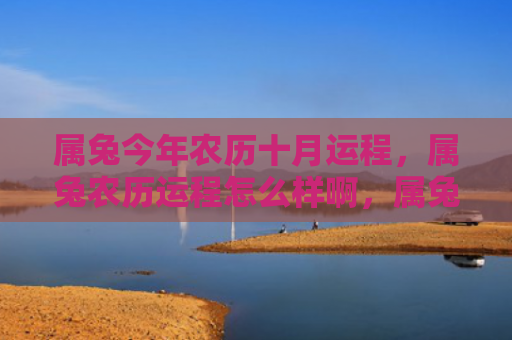 属兔今年农历十月运程，属兔农历运程怎么样啊，属兔人这个农历年怎么运程