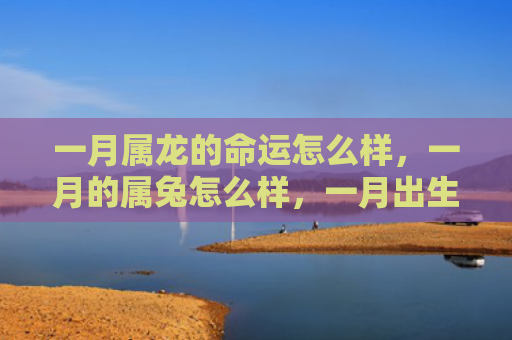 一月属龙的命运怎么样，一月的属兔怎么样，一月出生的属兔的性格特点