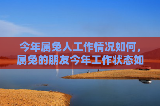 今年属兔人工作情况如何，属兔的朋友今年工作状态如何