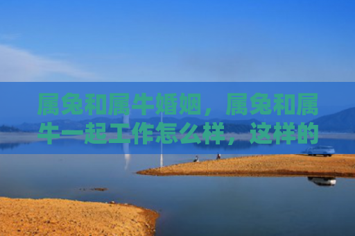 属兔和属牛婚姻，属兔和属牛一起工作怎么样，这样的团队效率会高吗