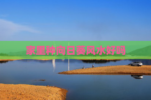 家里种向日葵风水好吗