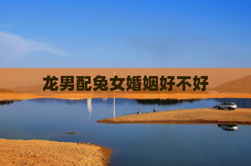龙男配兔女婚姻好不好
