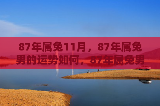 87年属兔11月，87年属兔男的运势如何，87年属兔男的运势预测