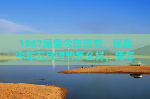 1987属兔今年运势，属兔今年五月运势怎么样，兔年五月运势详解