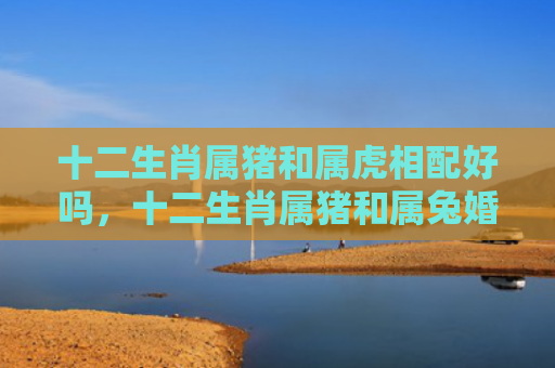 十二生肖属猪和属虎相配好吗，十二生肖属猪和属兔婚姻怎么样，属猪和属兔可以相互扶持共度一生吗