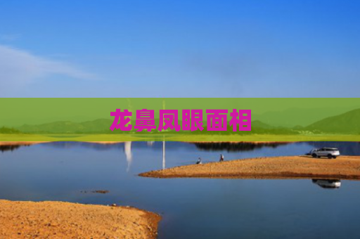 龙鼻凤眼面相