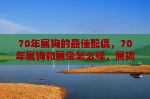 70年属狗的最佳配偶，70年属狗和属兔怎么样，属狗和属兔的70年怎么过