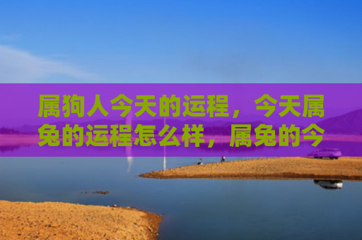 属狗人今天的运程，今天属兔的运程怎么样，属兔的今天运势如何