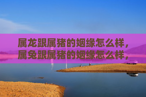 属龙跟属猪的姻缘怎么样，属兔跟属猪的姻缘怎么样，属兔和属猪的恋爱结果如何