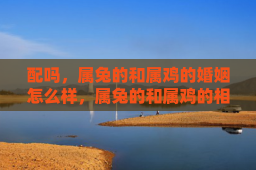 配吗，属兔的和属鸡的婚姻怎么样，属兔的和属鸡的相处之道
