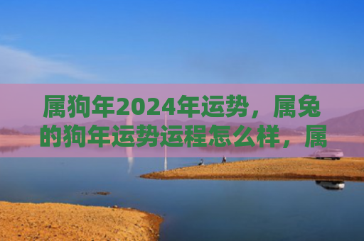 属狗年2024年运势，属兔的狗年运势运程怎么样，属兔人的狗年运势如何
