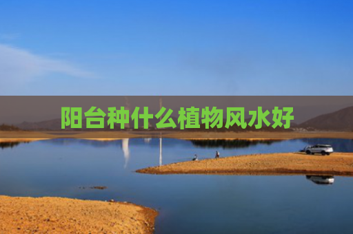 阳台种什么植物风水好