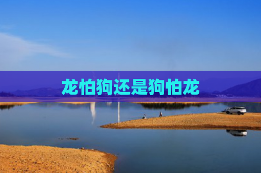 龙怕狗还是狗怕龙